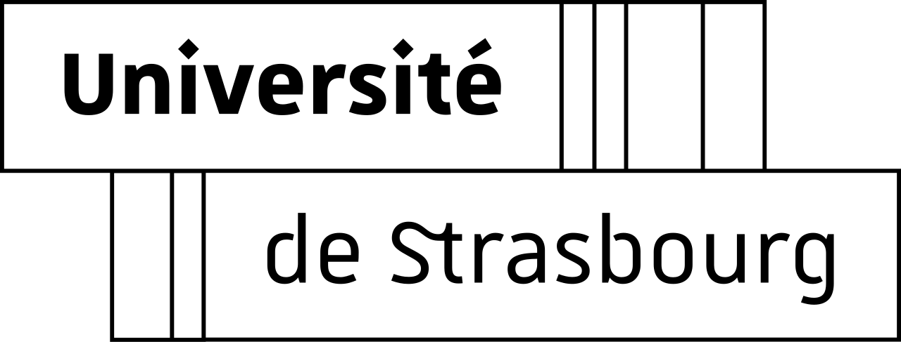 Université de Strasbourg - Formation en accessibilité numérique pour les enseignants
